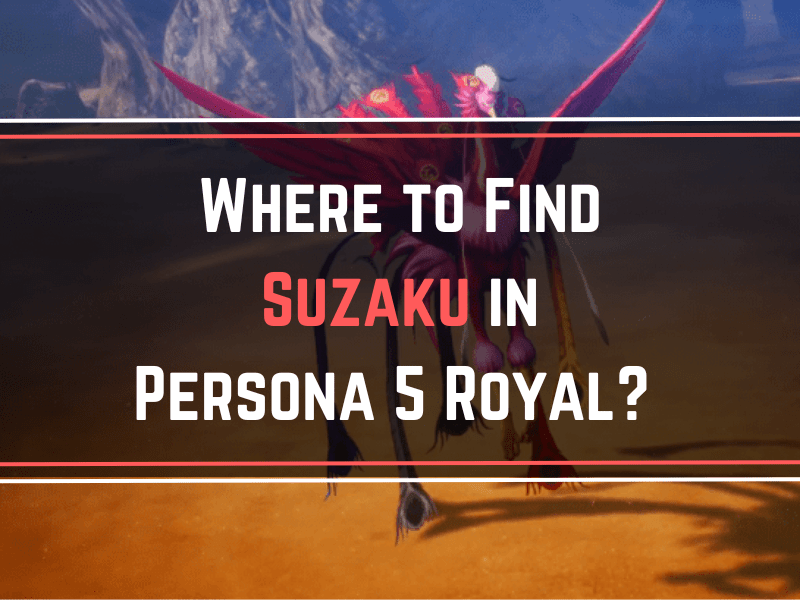Where to Find Suzaku in Persona 5 Royal A Simple Guide for All Players