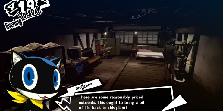 How to Boost Your Kindness in Persona 5 Royal?:Take Care of Your Room's Plant